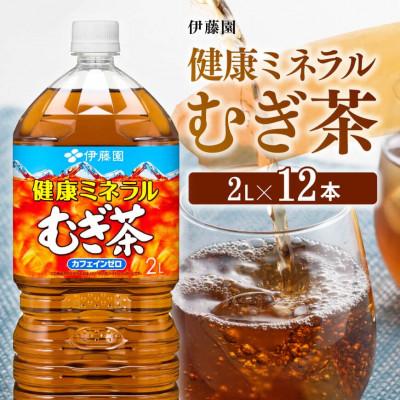 ふるさと納税 川南町 伊藤園　健康ミネラルむぎ茶2L×12本