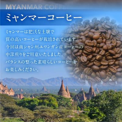 ふるさと納税 下呂市 スペシャルティコーヒー豆  ミャンマーウォッシュド 200g×2【102-4】 |  | 02