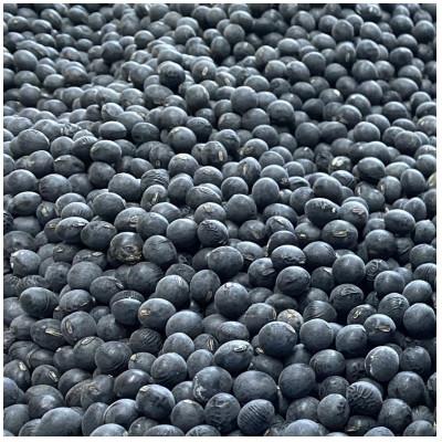 ふるさと納税 丹波篠山市 農家の手作り　黒豆みそ　 |  | 03