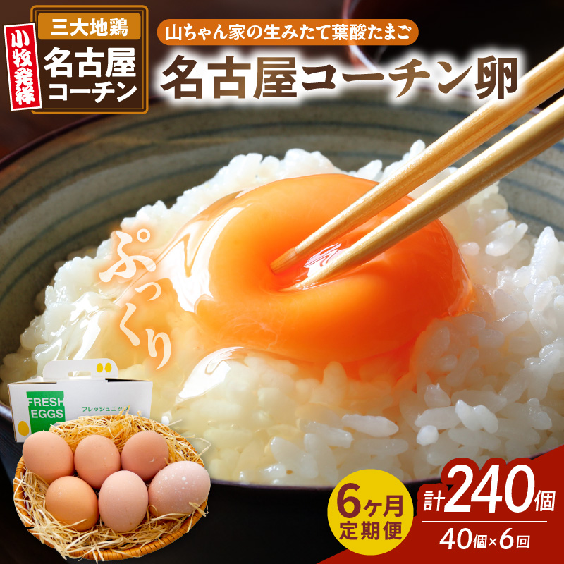 【6ヶ月定期便】【山ちゃん家の生みたて葉酸たまご】名古屋コーチン卵（40個入り）