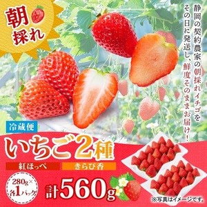 0011-106-08 富士宮市産 いちご 2種セット 紅ほっぺ & きらぴ香 各280g×1P 計560g