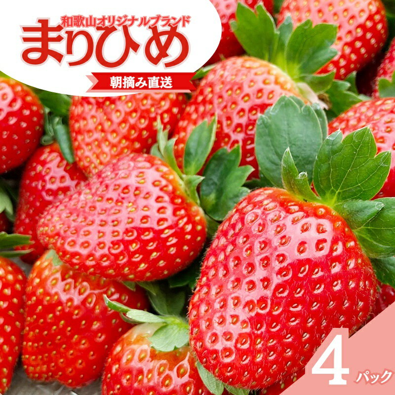 【ふるさと納税】 【先行予約】【2027年1月中旬頃より発送】特大まりひめ いちご 朝摘 6個〜11個入り×4パック 2027年1月中旬～2027年3月末頃に順次発送予定（お届け日指定不可）/ いちご 苺 まりひめ 和歌山 フルーツ 果物 くだもの