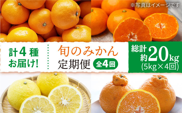 
【1月から毎月届く♪4回定期便】【数量限定】旬の みかん 定期便 ＜中尾果樹園＞ [CEL008]
