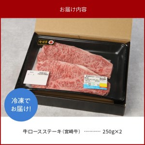 宮崎牛 ロース ステーキ 250g×2 計500g　N0147‐B426