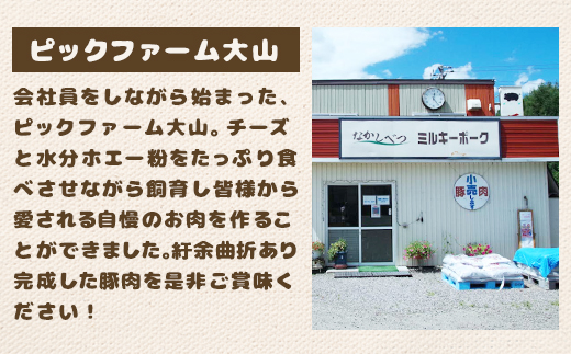 ミルキーポーク バラエティ セット 手作り ハンバーグ 120g×5個 餃子 12個 ソーセージ 7本 オンライン 申請 ふるさと納税 北海道 中標津 豚肉 ブランド豚 お肉 国産 おかず 惣菜 弁当