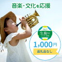 【ふるさと納税】「音楽・文化」を応援 （返礼品なし) 1000円 寄附のみ申込みの方