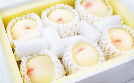 桃 定期便 2024年 先行予約 晴れの国 岡山 の 白桃 ×2回 お届け 1回目 白桃 6玉（1玉250g以上）／2回目 白桃 6玉（1玉300g以上） 化粧箱入り もも モモ 岡山産 国産 フルー