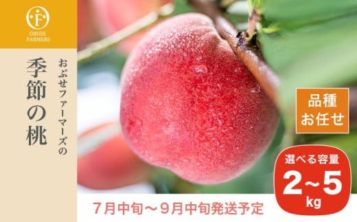 
                  季節の桃 約2kg 約3kg 約5kg 選べる内容量 ［ おぶせファーマーズ ］桃 もも モモ ピーチ フルーツ 果物 たまき なつき あかつき 川中島白鳳 なつっこ 川中島白桃 黄金桃 だて白桃 先行予約 長野県産 信州産 クール便 冷蔵便 お取り寄せ 産地直送 数量限定 産地 直送  先行予約 2026 令和8年産【2026年7月中旬～9月中旬発送】
                