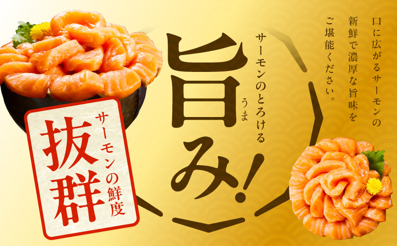 北極圏サーモン ポーション 1kg【高級 小分け 海鮮丼 人気 オススメ 小分け 冷凍 簡単調理 一人暮らし】 015B288_イメージ3