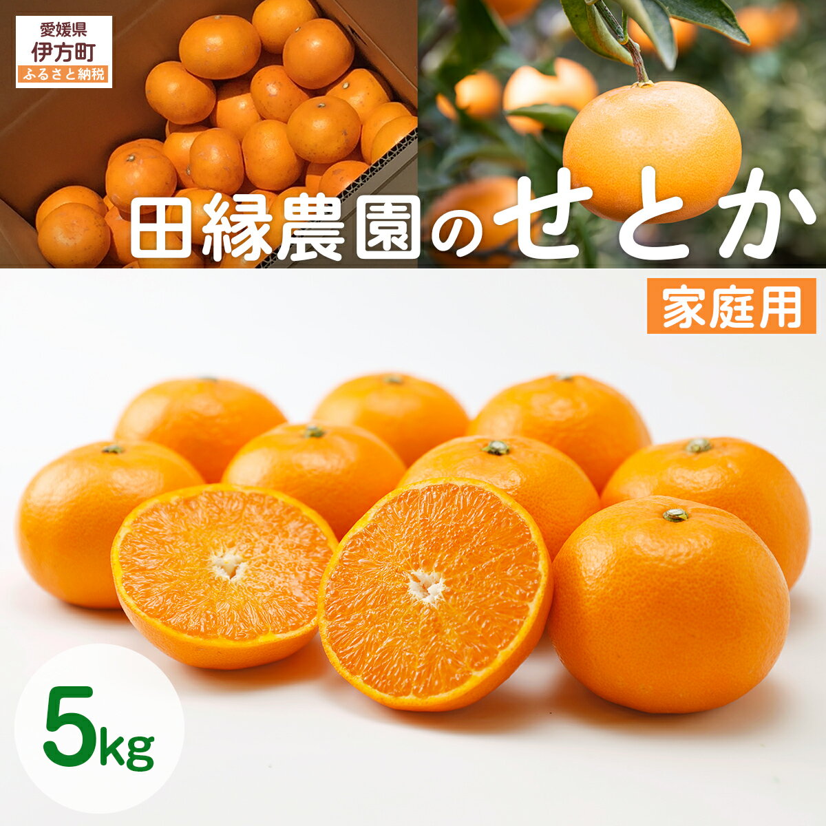 【ふるさと納税】【先行予約】【家庭用】せとか 5kg ※離島への配送不可 （2027年3月5日より順次発送） 【ふるさと納税 人気 おすすめ ランキング みかん ミカン 蜜柑 せとか フルーツ 果物 愛媛県産 田縁農園 愛媛県 伊方町 送料無料】 IKTA037