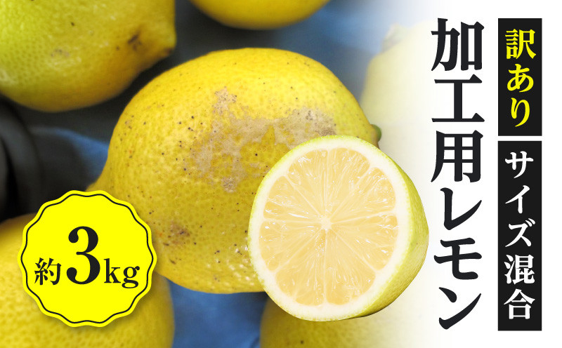 
訳あり 加工用 レモン (サイズ混合) 3kg【2024年11月下旬～2025年4月上旬配送】
