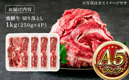 A5等級 飛騨牛 切り落とし 1kg (250g×4P) / 飛騨牛 国産 [AZCW002]