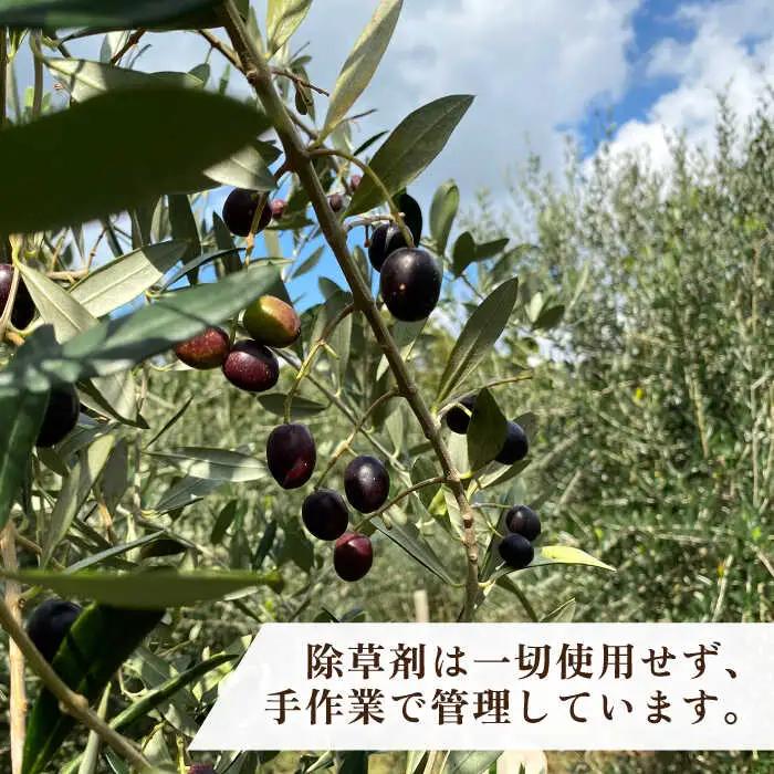 ikicael ハンドクリーム 50g 《壱岐市》【壱岐オリーブ園】[JDU020] 保湿クリーム オリーブオイル