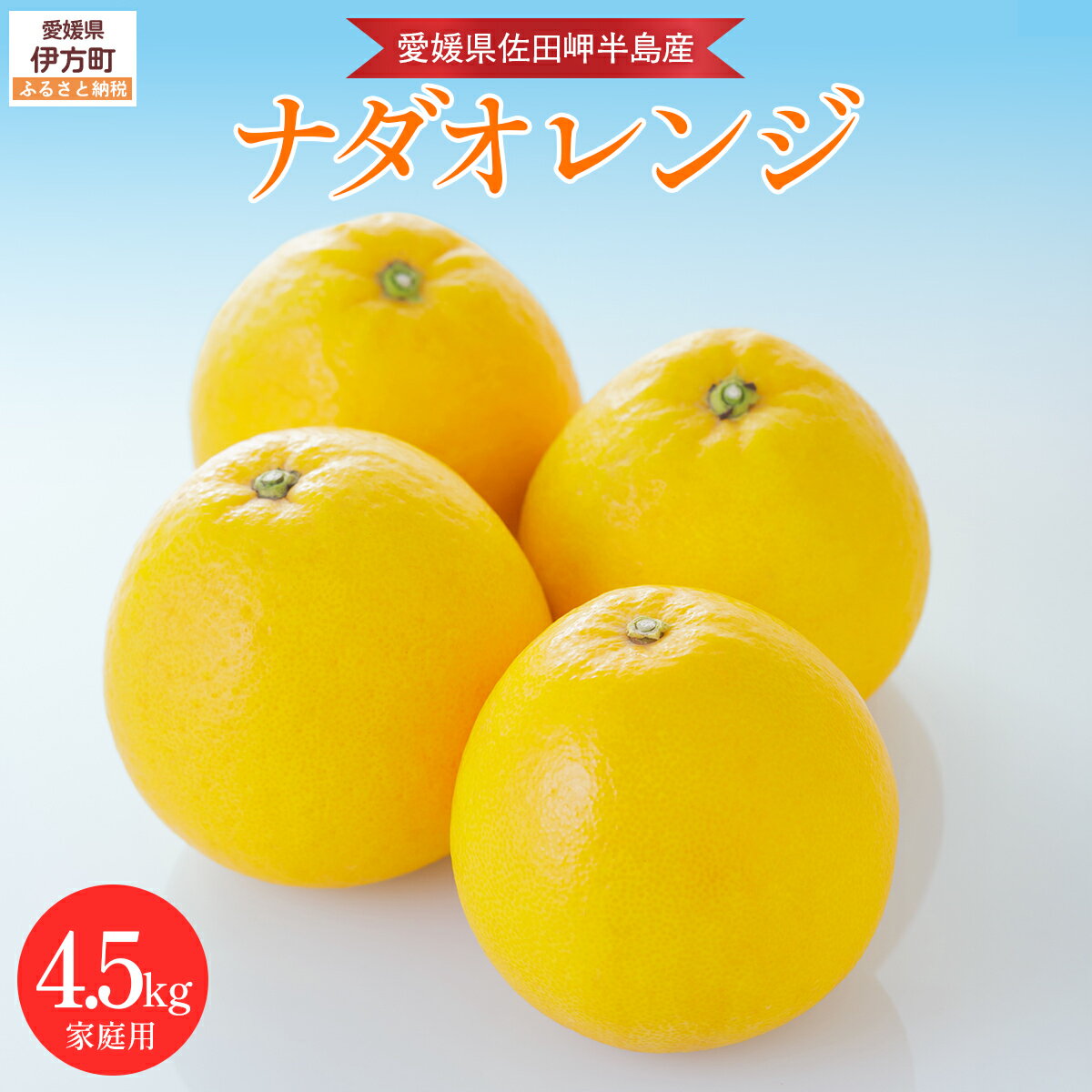【ふるさと納税】 【先行予約】【農家直送】愛媛県産 ナダオレンジ 家庭用 4.5kg（2025年5月中旬より順次発送予定）【 ふるさと納税 人気 おすすめ ランキング 柑橘 蜜柑 みかん 果物 フルーツ 河内晩柑 ナダオレンジ オレンジ 家庭用 愛媛県 伊方町 送料無料 】 IKTC006