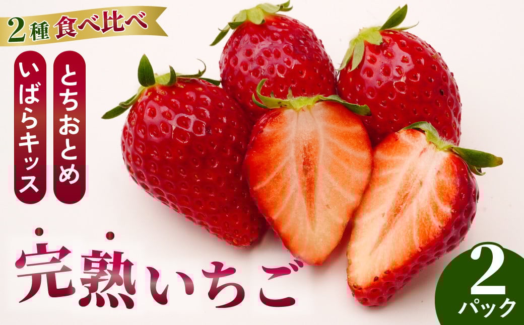 
            【2026年 先行予約】いちごグランプリ大賞受賞 完熟いちご 選べる容量 2パック 4パック | いちご 人気 農家直送 完熟 とちおとめ いばらキッス 3月以降発送 新鮮いちご フルーツ 旬 産地 直送 フレッシュ 新鮮 朝採れ 採れたて 糖度 酸味 バランス 健康 果物 デザート 贈り物 食べ比べ 人気 美味しい 甘い ベリー ブランド 萩谷いちご園 茨城県 常陸太田市
          