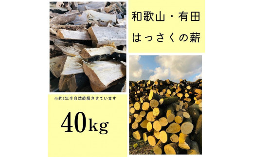
薪 キャンプ用 和歌山・有田のはっさくの薪 40kg
