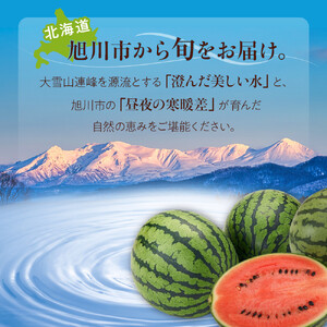 【先行予約】北海道産小玉スイカ1.6kg×2玉 (2026年7月中旬から発送開始) | スイカ _02063
