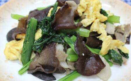 乾燥 きくらげ セット 45g×6袋【株式会社 地の塩社】[ZAN003]