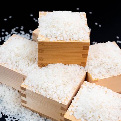 ふるさと納税 平取町 【令和7年産】ニシパの恋人「ななつぼし」20kg(10kg×2) |  | 01