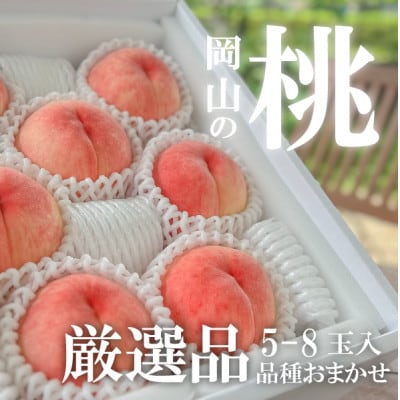【2026年先行予約】【厳選品】旬の桃(品種おまかせ) 5-8玉入(岡山県産)【配送不可地域：離島】