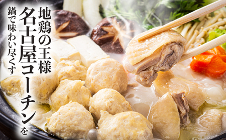 名古屋コーチン 極上 鶏 鍋セット 3人前 国産 地鶏 もも むね きしめん つくね 鶏肉 鳥肉 ブランド鶏 地鶏 ブランド地鶏