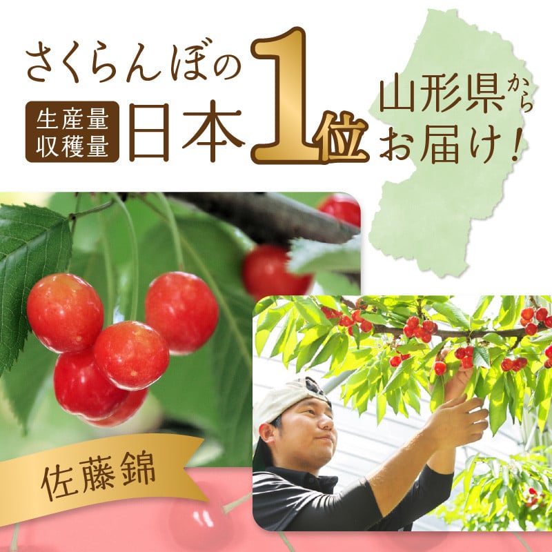 《先行受付》さくらんぼ 佐藤錦 1kg 秀品 Lサイズ バラ詰め【2026年6月中旬頃～発送予定】【山形県産さくらんぼ】