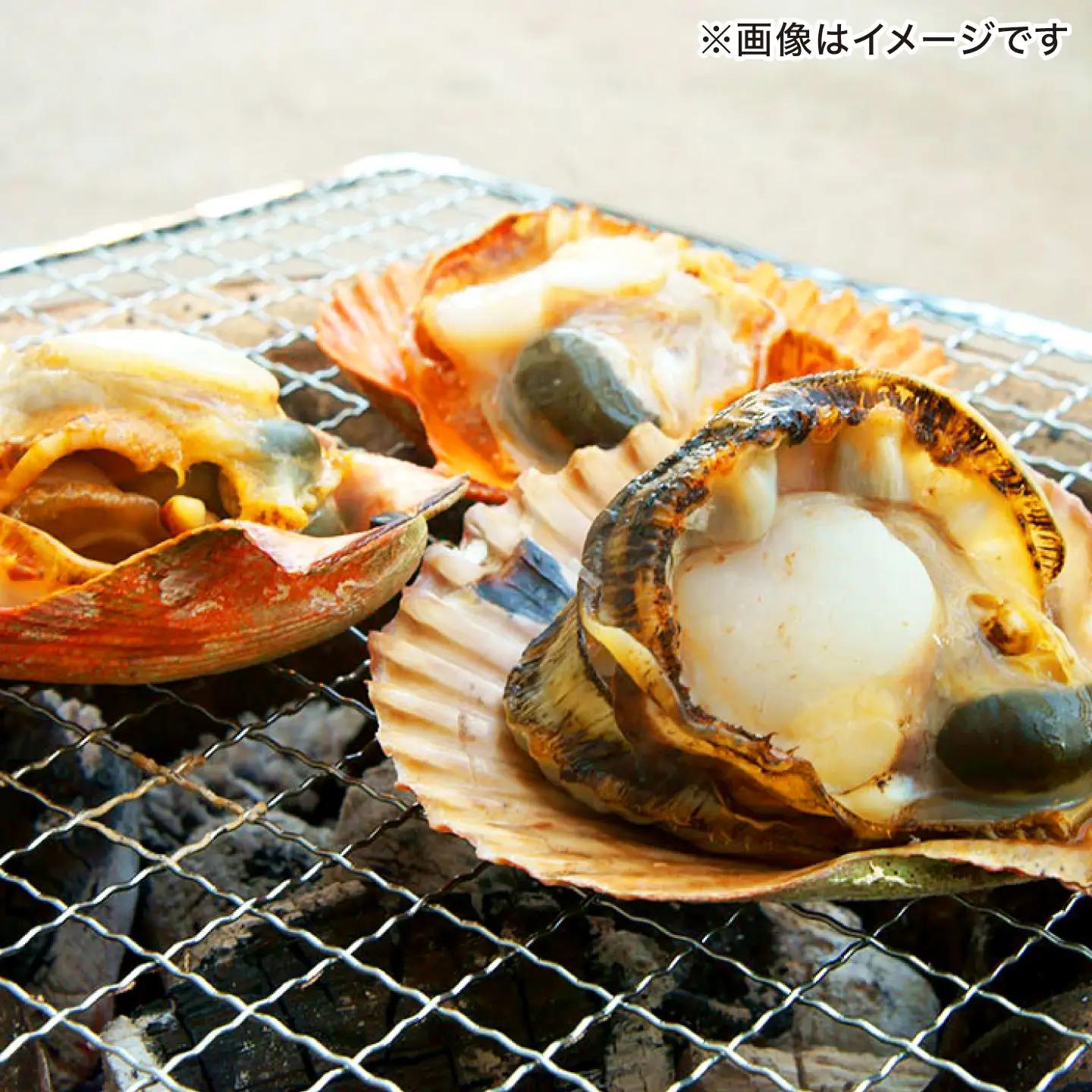 対馬産ひおうぎ貝 6パック（4枚入り） 貝  BBQ 小分け [WAC061]