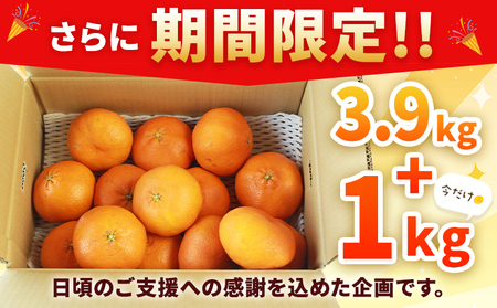 ＜愛媛県西予市産 甘平 家庭用 豊作 サンキューパック 合計約4.9kg（3.9kg＋1kg）＞ 訳あり ワケアリ 大粒果肉 柑橘 果物 フルーツ くだもの みかん ミカン 国産 サイズ不揃い 傷あり