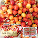 【ふるさと納税】【令和7年産 早期受付】 鮭川村産さくらんぼ ＜品種おまかせ＞ フードパック800g（200g×4P）