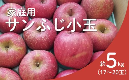 KR18-25A 【2月発送】 りんご サンふじ 家庭用【小玉】 約5kg（17～20玉） / 1月上旬頃～配送予定 // 長野県 南信州 リンゴ 林檎 ふじ さんふじ 小玉サイズ 訳あり 自家用 農家直送 農家支援 産地直送
