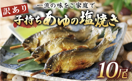 【訳あり】子持ち鮎の塩焼き 10尾 鮎 あゆ