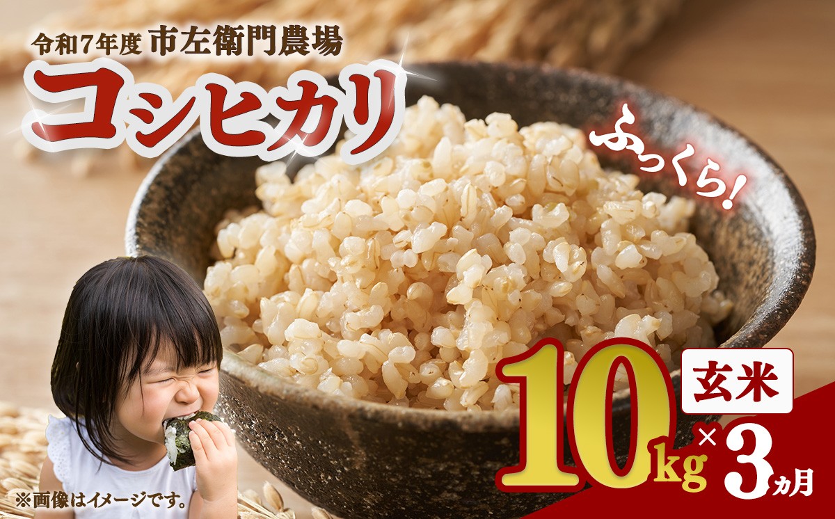 
                  【 3ヵ月 定期便 】令和7年産 コシヒカリ玄米 10kg │ 米 こめ こしひかり ご飯 玄米 10キロ 2025年産 茨城県産 茨城県 つくば市
                