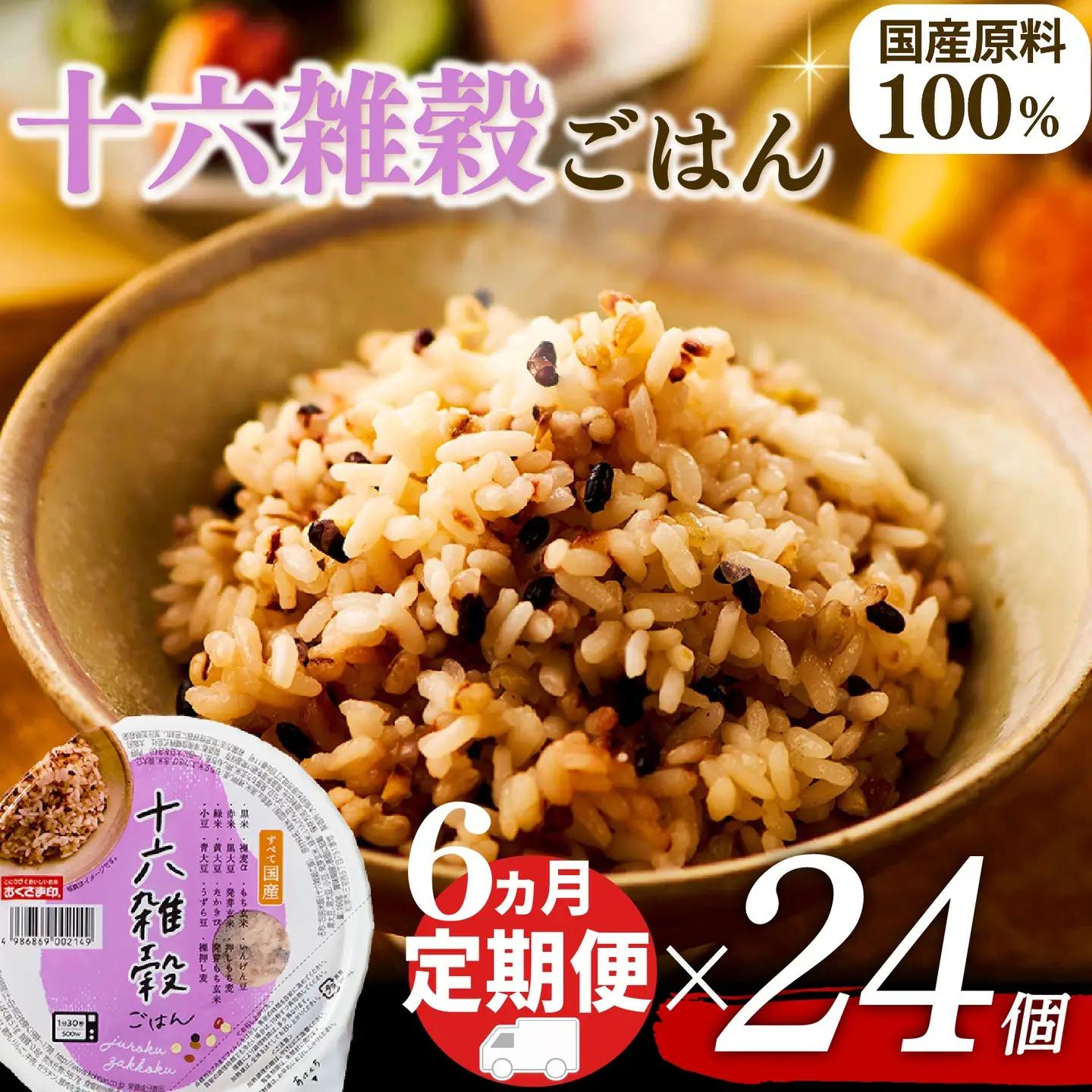 【十六雑穀米】定期便6回 国産100% パックご飯 160g×24個 レンジで簡単