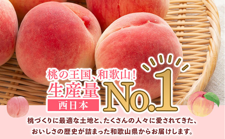 旬の桃 (特秀品) 食べきりやすい 3個入り ｜ 桃