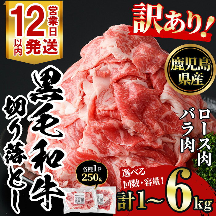 【ふるさと納税】＜選べる容量と配送回数＞訳あり！鹿児島黒毛和牛ロース・バラ切り落とし(計1～6kg) 鹿児島県産 牛肉 黒毛和牛 和牛 ロース 肩ロース バラ バラ肉 冷凍 定期便 切り落し 切落し 頒布会 肉じゃが カレー 牛丼 おかず お弁当 小分け 詰め合わせ【NBフード】