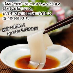 【復興支援】船凍するめいか 約2kg 10杯 ( 2杯 × 5袋 ) 小分け 個包装 刺し身 海産物 魚介類 獲れたて 急速冷凍 新鮮 刺身 さしみ 烏賊 人気 おすすめ ご当地グルメ カルパッチョ 