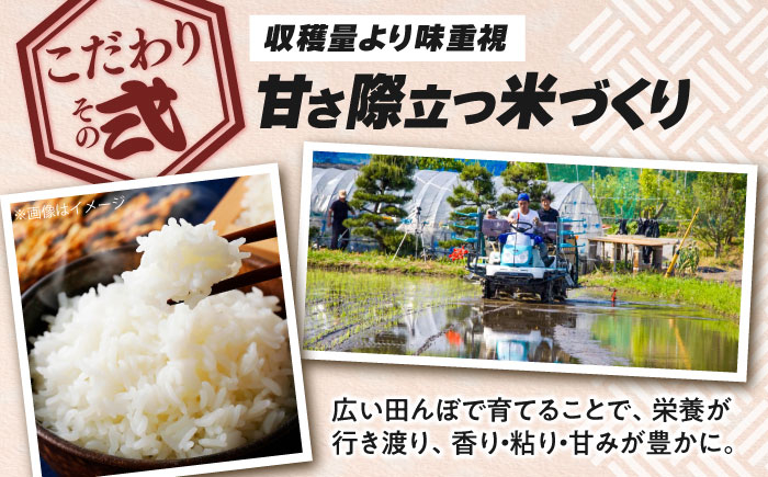 【全12回定期便】コシヒカリ 滋賀県西浅井町産「まるこ米」20kg（5kg×4）無洗米   米 お米 白米 こしひかり地域 応援