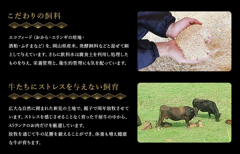 こだわりの飼料で大切に育てています。