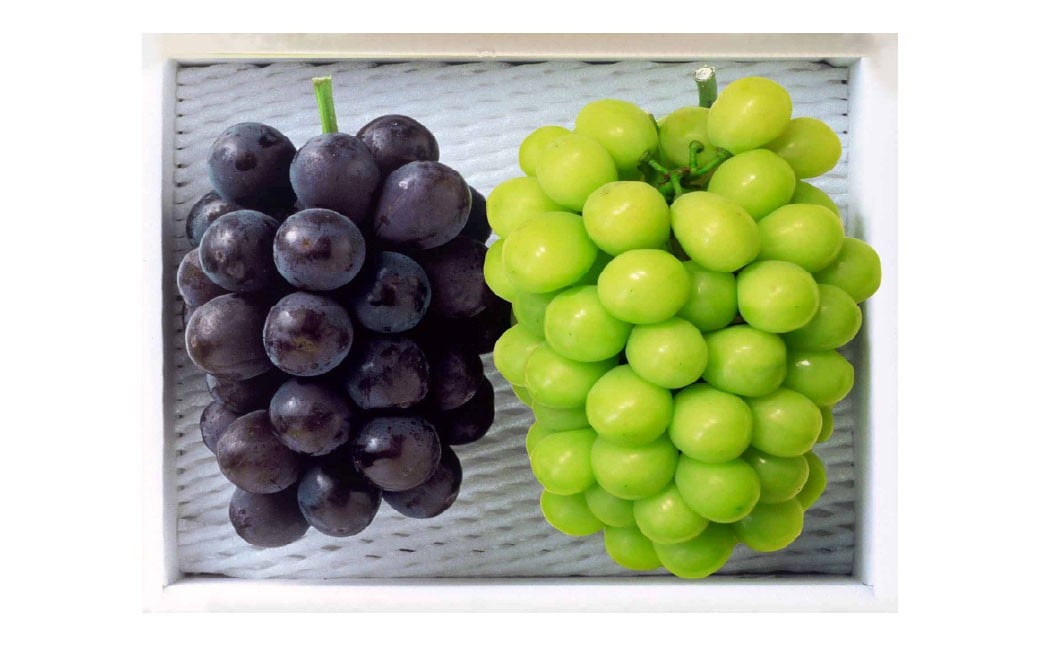 種無しぶどう詰合せ 2房（合計1.2kg以上）