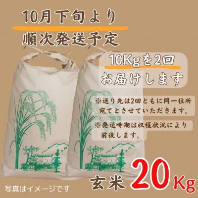 ふるさと納税 宍粟市 【 令和8年産 新米 受付開始 】しそうのおいしい お米 コシヒカリ 玄米 20kg　X1 |  | 01