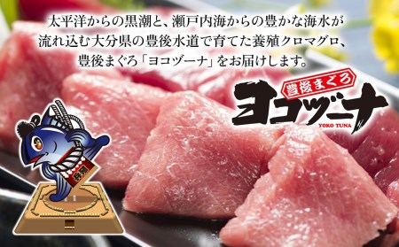 豊後まぐろ ヨコヅーナ 赤身400ｇ 中トロ400g 鮪 マグロ 海鮮丼 刺し身 盛り合わせ 冷凍 魚の刺身 大分県産 九州産 津久見市 国産【tsu0003010】