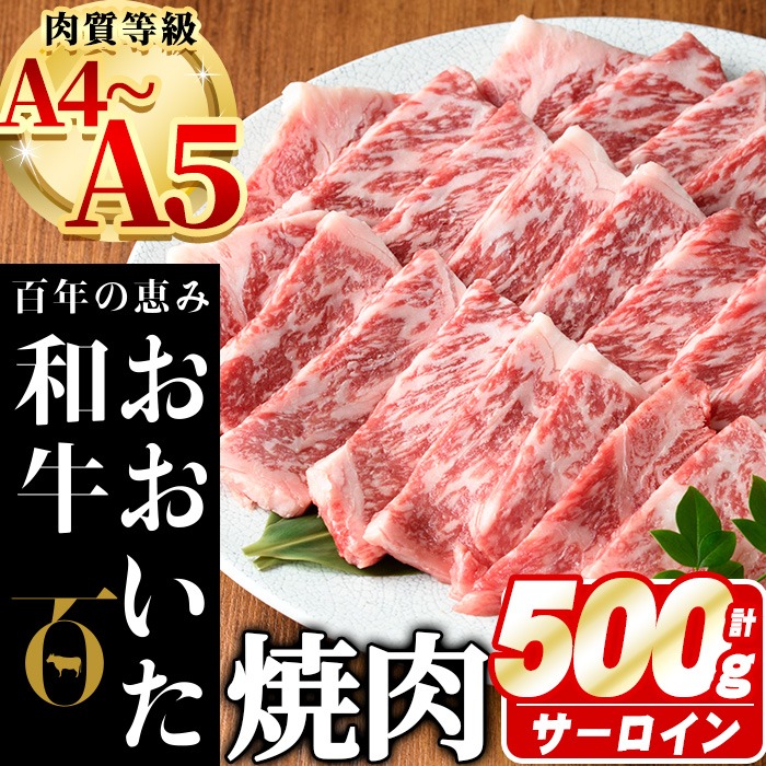 おおいた和牛 サーロイン 焼肉 (計500g) 国産 牛肉 肉 霜降り A4 A5 黒毛和牛 和牛 豊後牛 ブランド牛 冷凍【HE04】【(株)吉野】