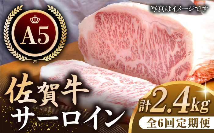 
【全6回定期便】佐賀牛 A5 サーロイン ステーキ 400g ( 200g × 2枚 ) 【肉の三栄】 [HAA061]
