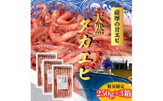 天然タカエビ250g×3箱　A1-1_ 甘エビ 海老 あまえび 天然 海鮮 魚介類 甘海老 冷凍 【1524606】