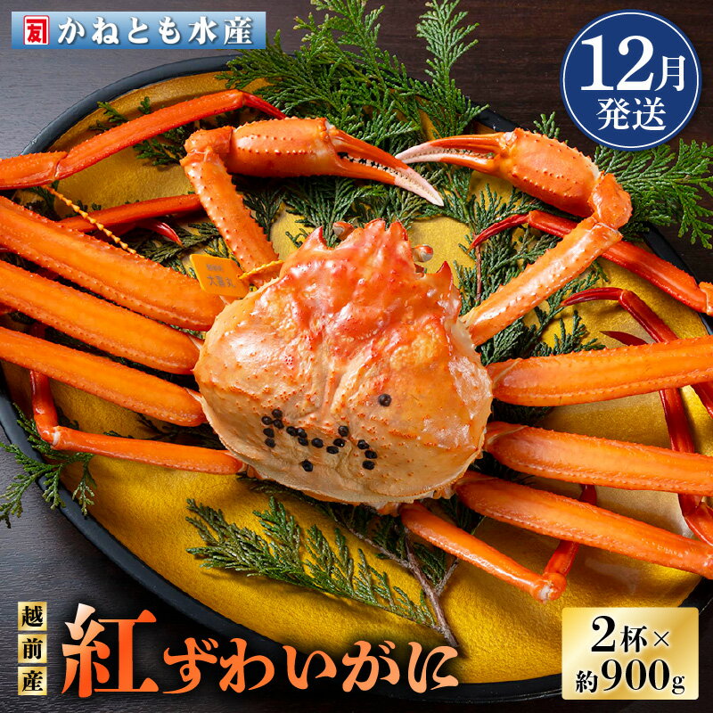 【ふるさと納税】≪浜茹で≫越前産 紅ずわいがに 約900g × 2杯 食べ方しおり付【紅ズワイガニ カニ かに 蟹 姿 ボイル 冷蔵 福井県】【12月発送分】希望日指定不可 [e14-x001_12]
