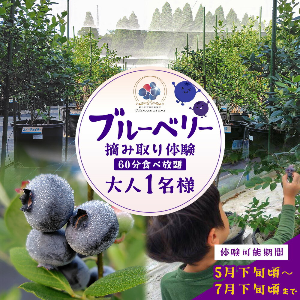 【ふるさと納税】鹿児島県の南国！南大隅町の農園で、ブルーベリー摘み取り体験♪ ブルーベリー摘み取り体験チケット （60分食べ放題） ≪大人1名様分≫ BO-3｜鹿児島県 南大隅町 農園 収穫体験 果物 ブルーベリー チケット 体験 本土最南端