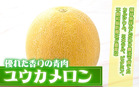 【先行予約】 安心安全！減農薬！こだわり農法で育てた ユウカメロン 2玉 (1玉あたり：1.5kg以上) 【2026年6月中旬以降順次発送予定】 【メロン めろん フルーツ デザート 果物 くだもの 