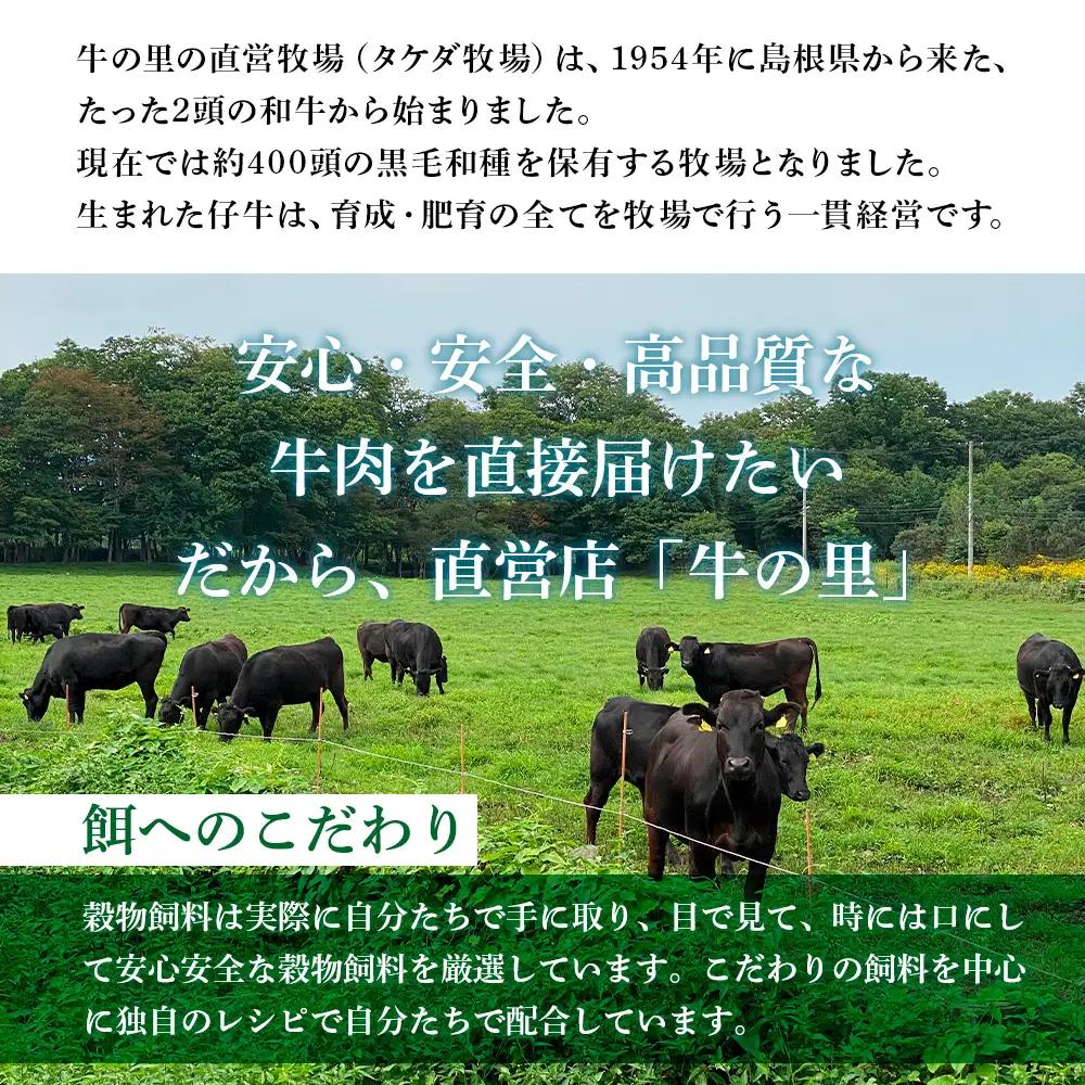 牛の里ビーフハンバーグ（110g×6個）特製ソース（6袋）の詰合せ AG106
