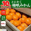 【ふるさと納税】熟成 みかん 箱込10kg ( 内容量 9.2kg ) SMLサイズのいずれか 秀品 優品 混合 和歌山県産 産地直送 贈答用 【みかんの会】 | 和歌山 フルーツ 果物 くだもの かんきつ 柑橘 柑橘類 みかんの会 送料込み 送料無料