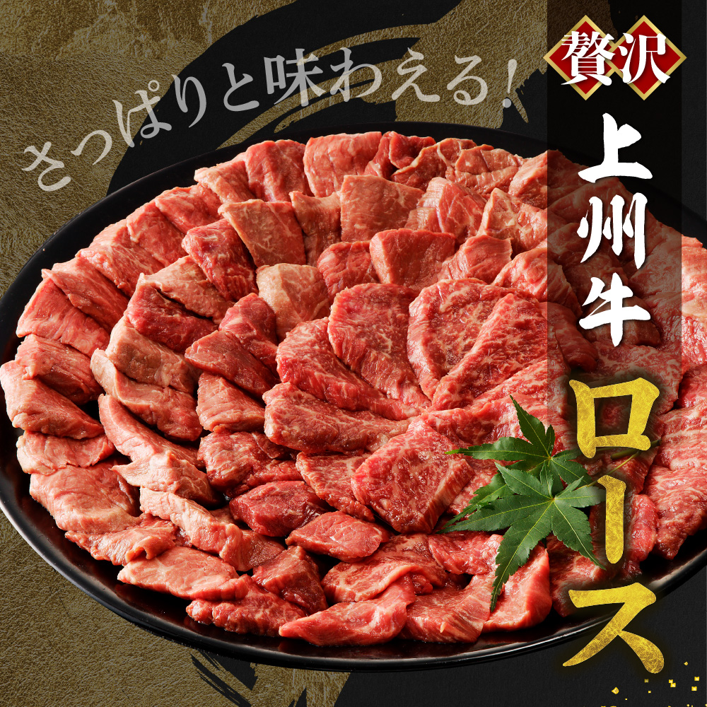 牛肉 ロース 【上州牛】 500g  群馬 県 千代田町 ch013-005rhrr_イメージ2